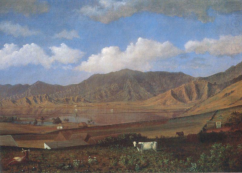 Enoch Wood Perry, Jr. Kualoa Ranch, Oahu china oil painting image